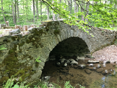 Hollow Brook Preserve Bridge